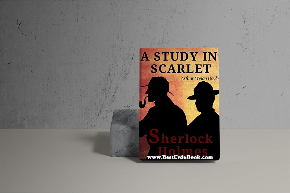 A Study in Scarlet Novel