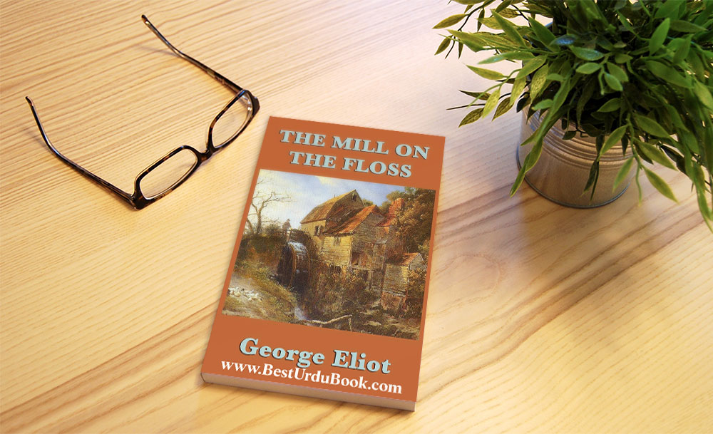 The mill on The Floss Novel