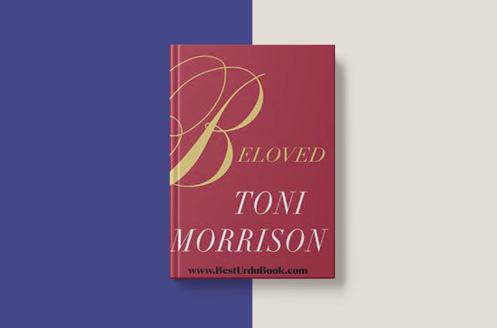 Toni Morrison Book
