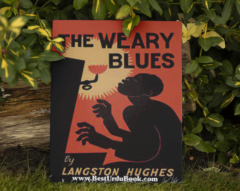Langston Hughes Book